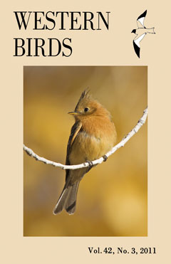 Cover image V42(3)