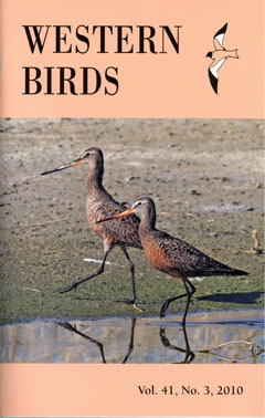 Cover image V41(3)