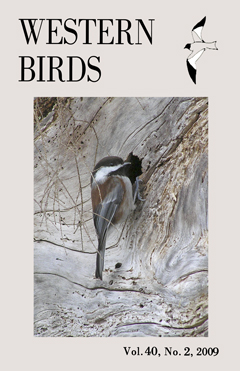 Cover image V40(2)