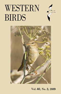 Cover image V40(3)