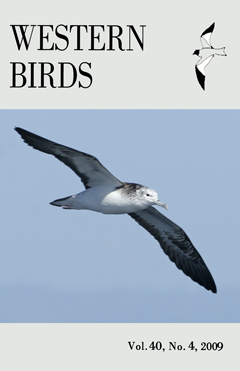 Cover image V40(4)