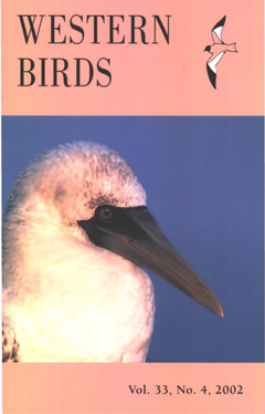 Cover image V33 (4)