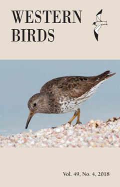 Cover image V49(4)