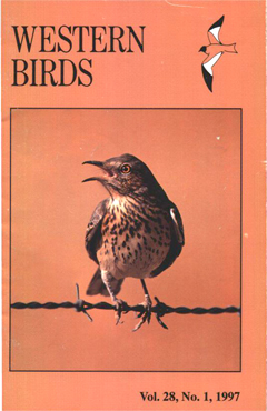 Cover image V28 (1)