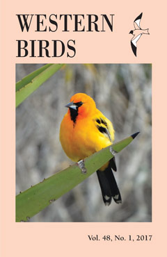 Cover image V48(1)