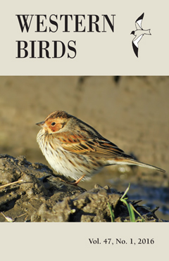 Cover image V47(1)