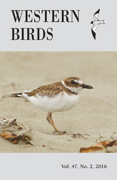 Cover image V47(2)
