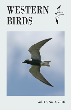 Cover image V47(3)
