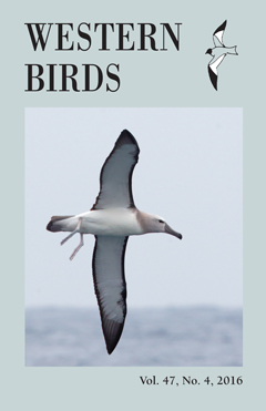 Cover image V47(4)