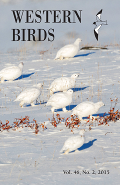Cover image V46(2)