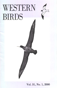 Cover image V31 (1)