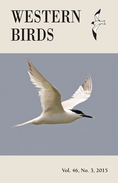 Cover image V46(3)