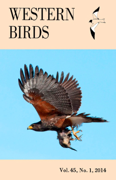 Cover image V45(1)