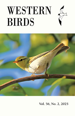 Cover image V56(2)