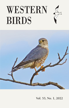 Cover image V53(1)