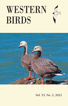 Cover image V53(2)