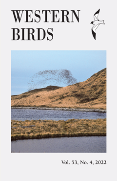 Cover image V53(4)
