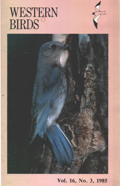 Cover image V16 (3)