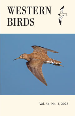 Cover image V54(3)