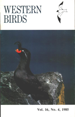 Cover image V16 (4)