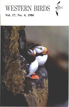 Cover image V17 (4)
