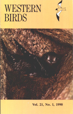 Cover image V21(1)