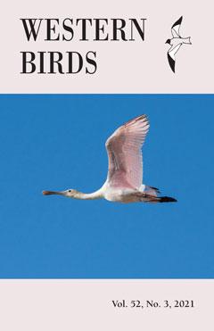 Cover image V52(3)
