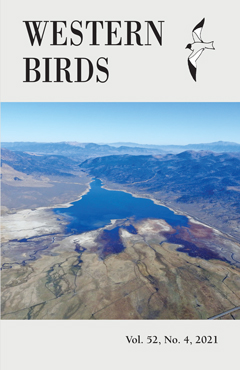 Cover image V52(4)