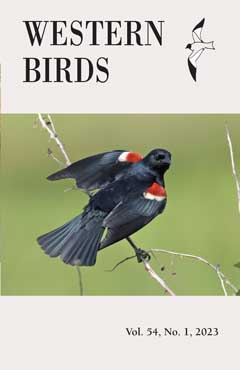Cover image V54(1)