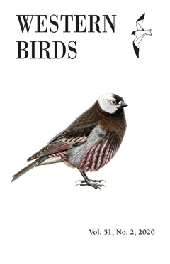 Cover image V51(2)