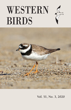 Cover image V51(3)