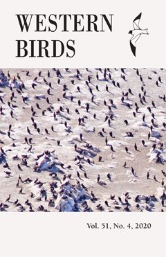 Cover image V51(4)