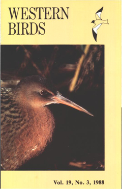Cover image V19 (3)