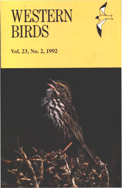 Cover image V23(2)