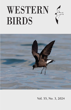 Cover image V55(3)
