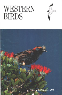 Cover image V24(3)